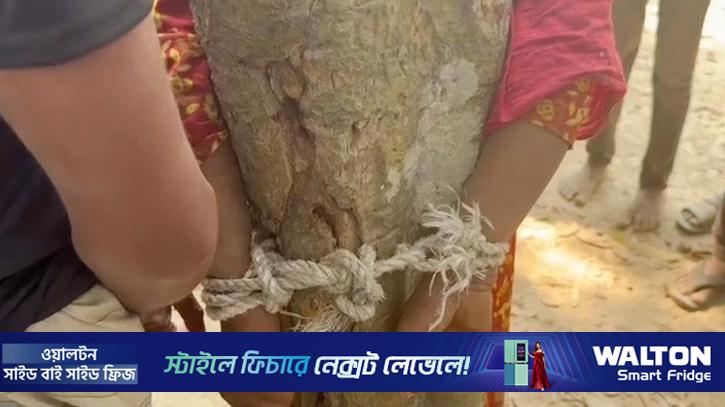 গাছে বেঁধে শিকল পরিয়ে তরুণ-তরুণীকে নির্যাতন, ভিডিও ভাইরাল