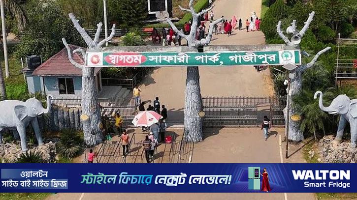 সাফারি পার্কে ঘুরতে গিয়ে দুর্ঘটনায় প্রাণ গেল নারীর