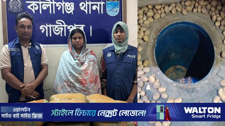 রান্নাঘরে মাদকের গোপন ভাণ্ডার, আলুর স্তূপ সরাতেই মিলল ২০ কেজি গাঁজা