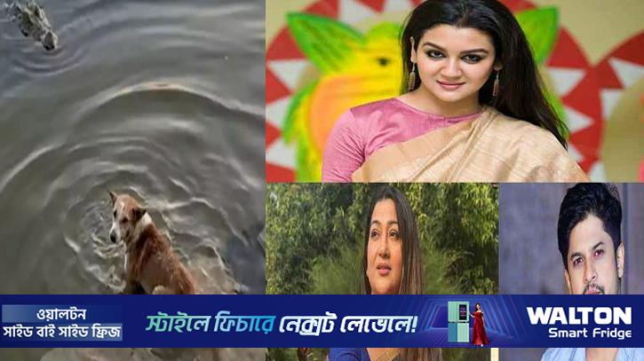 কুকুর-কুমির ঘটনায় নিন্দায় মুখর তারকারা