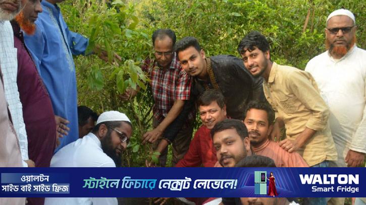 বেরোবিতে গাছ কাটা নিয়ে প্রশাসনের ব্যাখ্যা