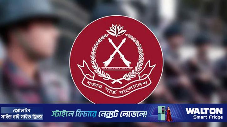 ৯ জেলায় বিজিবি মোতায়েন