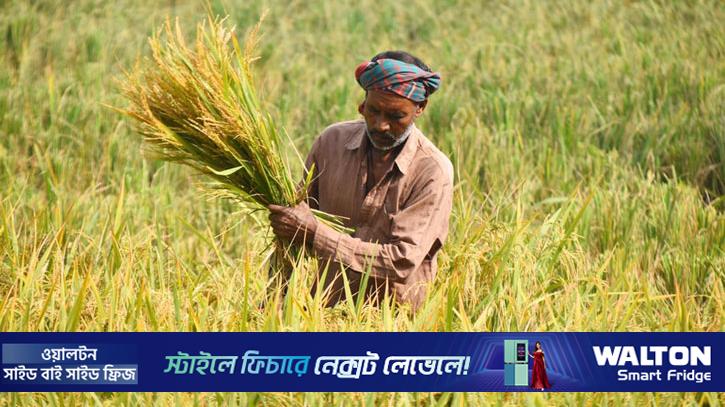 নগদ অর্থসহ ‘কৃষক কার্ডে’ থাকছে যেসব সুবিধা