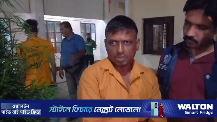 ২৫টি গাঁজার গাছসহ চাঁদপুরে গ্রেপ্তার ১