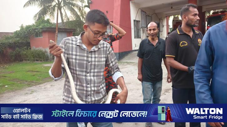 উদ্ধারের পর ৬ ফুট দৈর্ঘ্যের দাঁড়াশ সাপ বনে অবমুক্ত