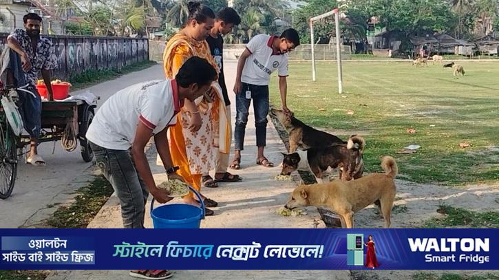 ‘স্যান্ডি’র স্মরণে ৫০০ কুকুর পেল ভাত-মাংস