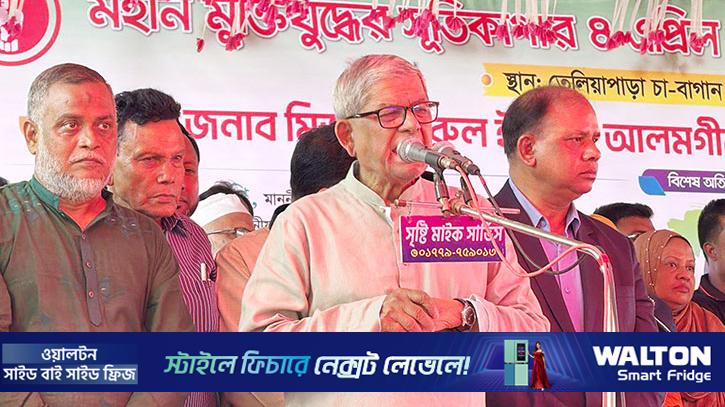 বিএনপি শুধু সংস্কার চায় না, সংস্কার বাস্তবায়নও করবে: মির্জা ফখরুল