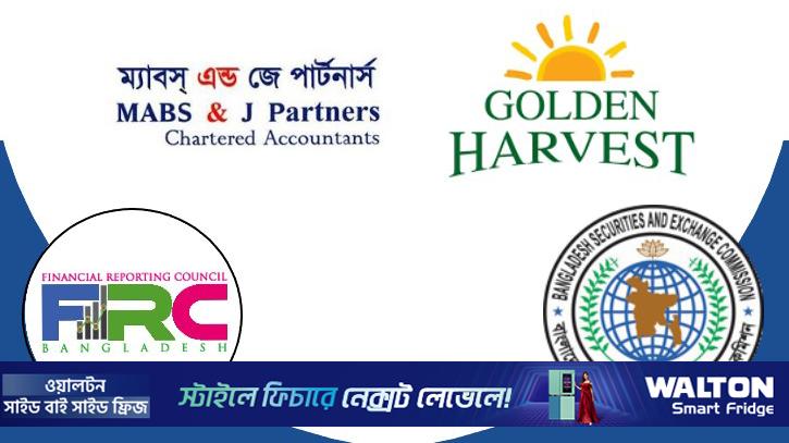 মিথ্যা তথ্য উপস্থাপন, ফেঁসে যাচ্ছে গোল্ডেন হারভেস্টের নিরীক্ষক