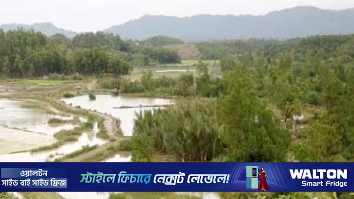 বাংলাদেশ সীমান্তের নদীপথ-জলাশয়ে ‌‘সাপ-কুমির ছাড়বে ভারত’