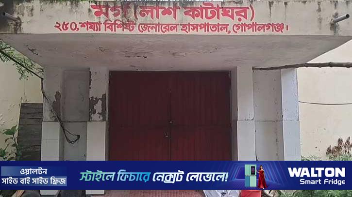 গোপালগঞ্জে বিদ্যুৎস্পৃষ্টে কৃষকের মৃত্যু