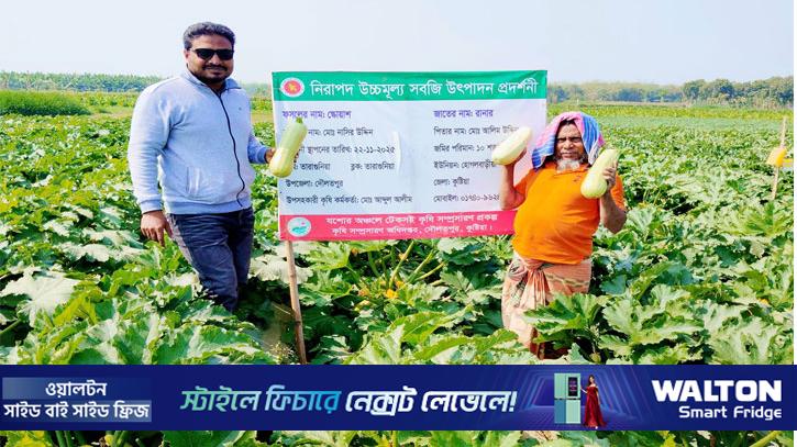 তামাকের বিকল্পে স্কোয়াশ চাষে তিনগুণ লাভ নাসিরের