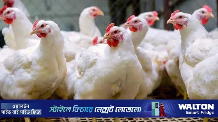 ঈদের আগে চড়া মুরগির বাজার, কমেছে পেঁয়াজের দাম