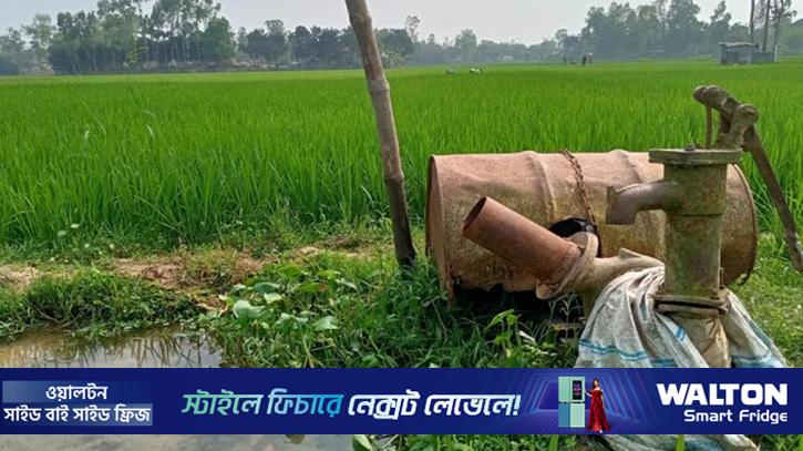 ডিজেল সংকটে সিরাজগঞ্জে বোরো উৎপাদনে শঙ্কা