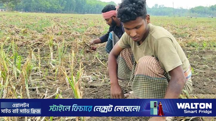 তিন বিশ্ববিদ্যালয়ে সুযোগ, অনিশ্চিত রাজুর উচ্চশিক্ষার স্বপ্ন