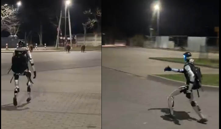 বন্য শূকর তাড়া করলো রোবট