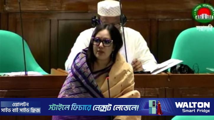 মনোনয়ন না দেওয়ায় বিএনপিকে ধন্যবাদ: রুমিন ফারহানা