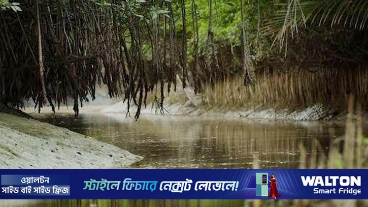 বনদস্যুদের মুক্তিপণ দিয়ে ফিরলেন ১৪ জেলে 