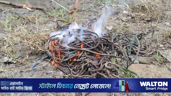 সুন্দরবনে হরিণ শিকারের ২৫ ফাঁদ জব্দ