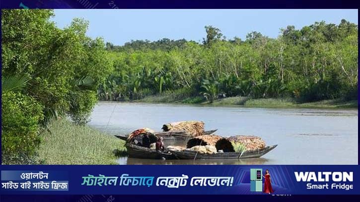 সুন্দরবনে জাহাঙ্গীর বাহিনীর কবলে ১৮ জেলে, আতঙ্ক