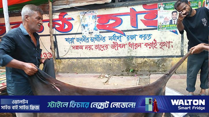 নির্ধারিত দামের চেয়ে কমে বিক্রি, লোকসানে মৌসুমী চামড়া ব্যবসায়ীরা
