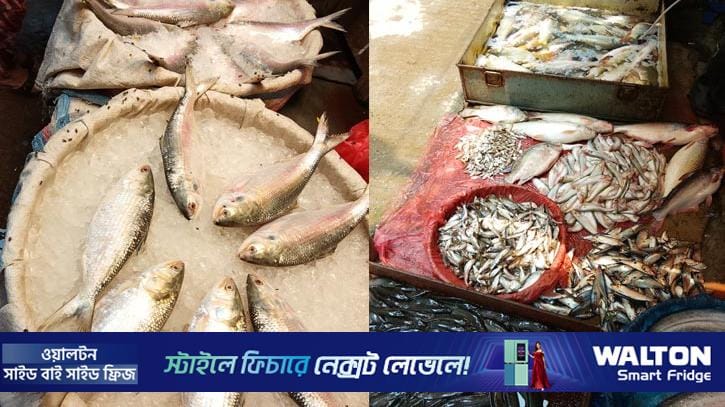 রাজধানীর বাজারে মাছ-মাংসের দাম চড়া