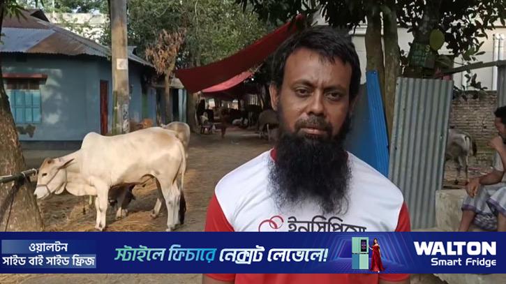 ফেনীতে অস্ত্র ঠেকিয়ে ব্যবসায়ীর গরু ছিনতাই