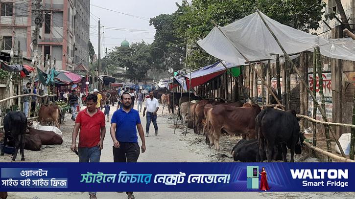 ক্রেতার চেয়ে দর্শনার্থী বেশি: শেষ মুহূর্তের অপেক্ষায় পাইকাররা