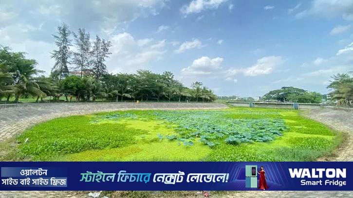 অযত্ন-অবহেলায় নষ্ট হচ্ছে গোবিপ্রবির লেকপাড়ের সৌন্দর্য
