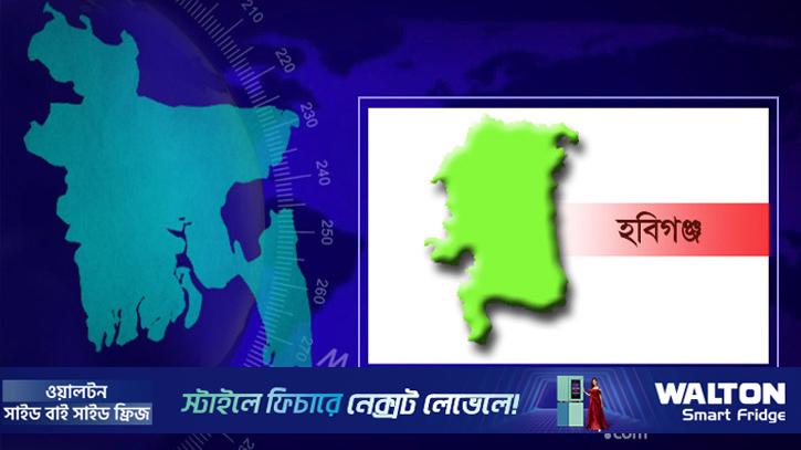 হবিগঞ্জে মোটরসাইকেল দুর্ঘটনায় দুই যুবক নিহত