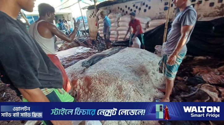 কোরবানির চামড়ার বাজারে হতাশা, লোকসানের শঙ্কায় মৌসুমি ব্যবসায়ীরা