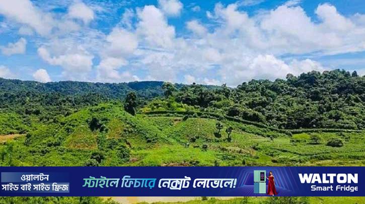 নাইক্ষ্যংছড়ি সীমান্তে মাইন বিস্ফোরণে ৩ বাংলাদেশি নিহত