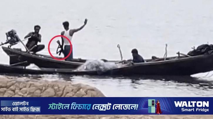 নাফ নদীতে জেলেদের লক্ষ্য করে গুলি