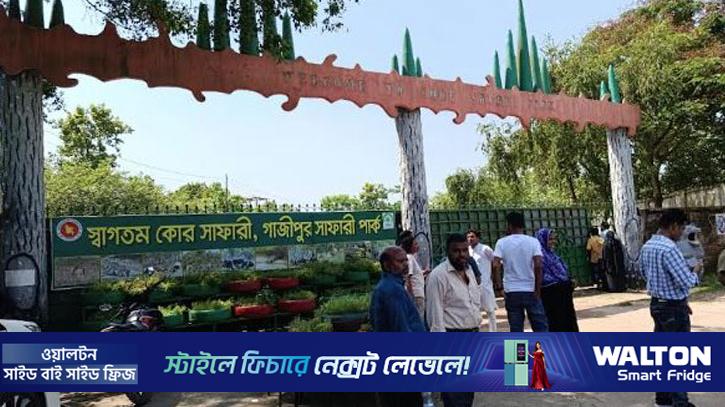সাফারি পার্কে দর্শনার্থীদের ঢল, ৩ দিনে আয় ৭ লাখ টাকার বেশি