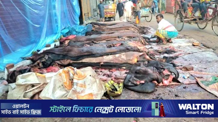 নরসিংদীতে পানির দামে বিক্রি হচ্ছে কোরবানির চামড়া