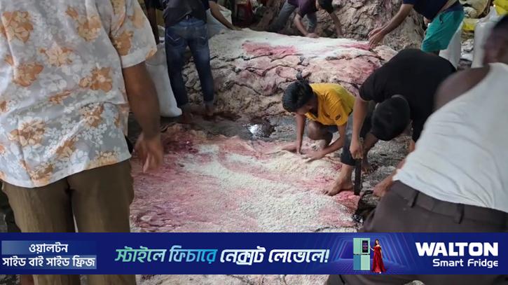 তিন দিনে সাভার ট্যানারিতে ঢুকেছে ৫ লাখের বেশি চামড়া