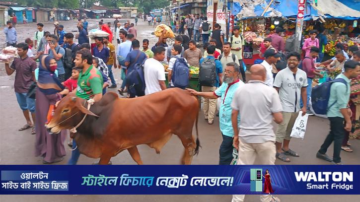 ছবিতে গাবতলী পশুর হাট