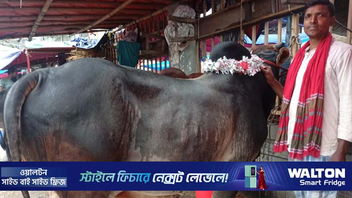 জমজমাট কমলাপুর পশুর হাট
