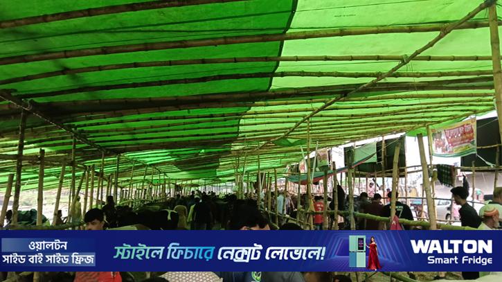 বৃষ্টি উপেক্ষা করে জমজমাট কালশী পশুর হাট
