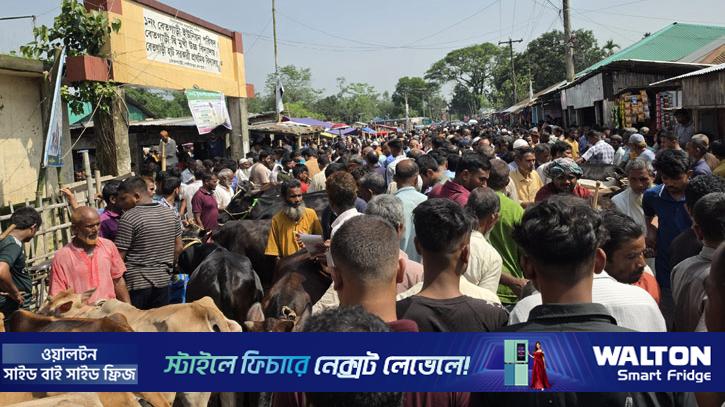 রংপুরে কোরবানির হাটে বিক্রেতাদের হাহাকার: ভিড় আছে,  ক্রেতা নেই