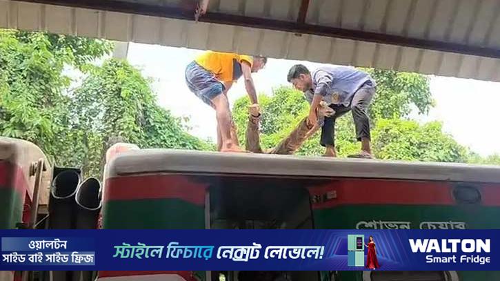কুষ্টিয়ায় ট্রেনের ছাদে মিলল যুবকের মরদেহ
