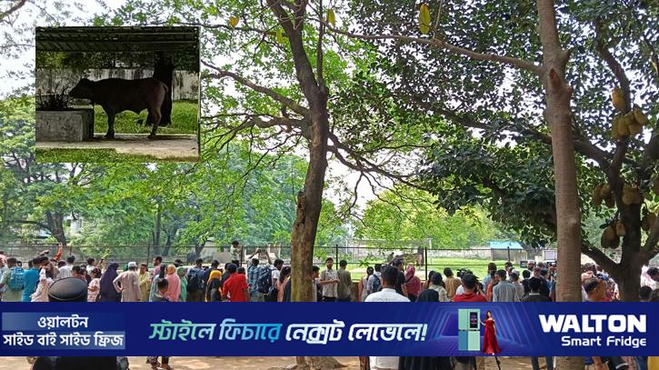 চিড়িয়াখানায় বিশেষ আকর্ষণ ‘ড্রোনাল্ড ট্রাম্প’